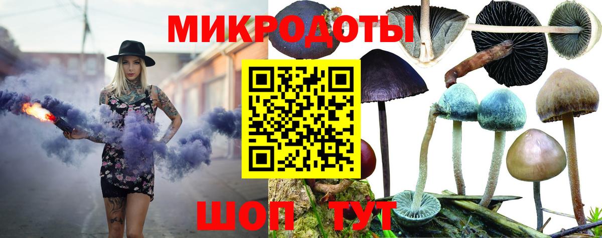 Псилоцибиновые грибы мухоморы Югорск