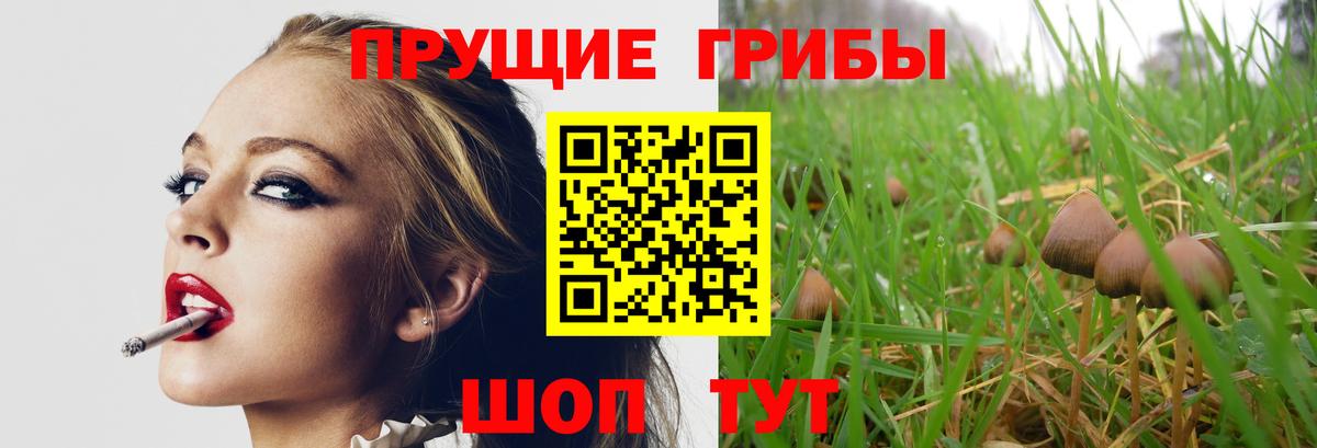 Псилоцибиновые грибы Cubensis  Вход с VPN  Галлюциногенные грибы Magic Shrooms  Югорск 